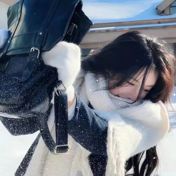 森林进化论